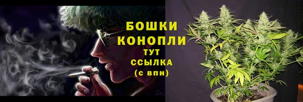 круглые Осинники