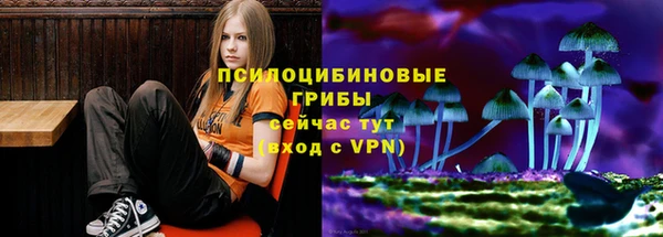 круглые Осинники