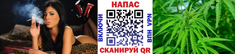 Бошки марихуана семена где найти наркотики Бабаево